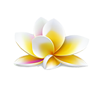 Casa Flor de Mayo